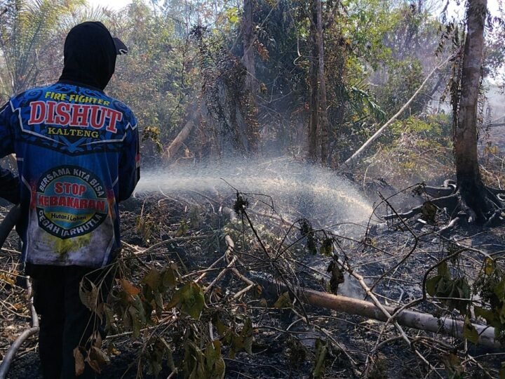 Karhutla Mulai Tekan Kualitas Udara di Wilayah Kalteng