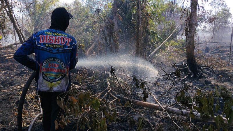 Karhutla Mulai Tekan Kualitas Udara di Wilayah Kalteng