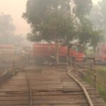 8 Hektare Lahan Kosong di Petuk Katimpun Terbakar