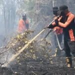 510 Kasus Karhutla Melanda Palangka Raya, 1.039 Hektare Lahan Hangus