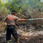 Dinsos Kalteng Kaji Dapur Umum untuk Relawan Pemadam Karhutla